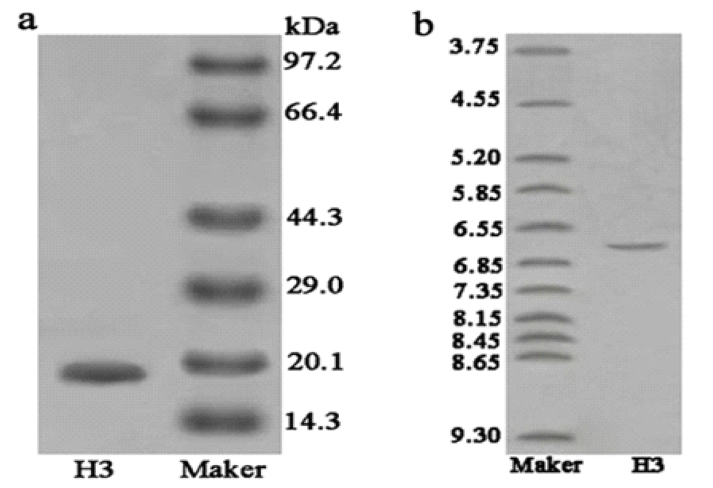 Marinedrugs 11 01800 g003 1024