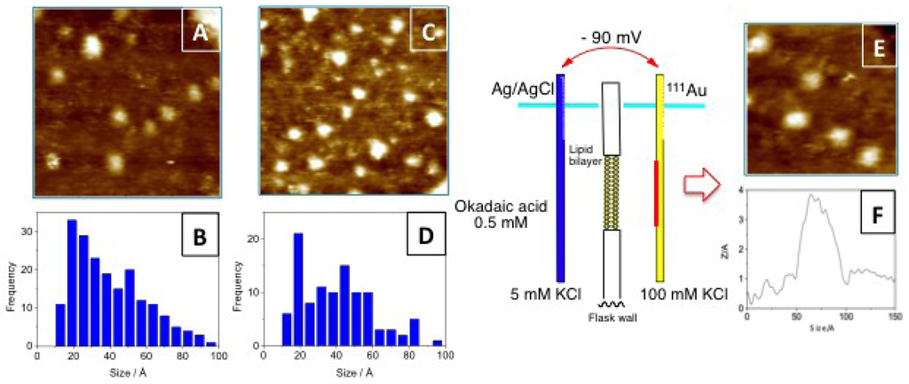 Marinedrugs 11 01866 g003 1024