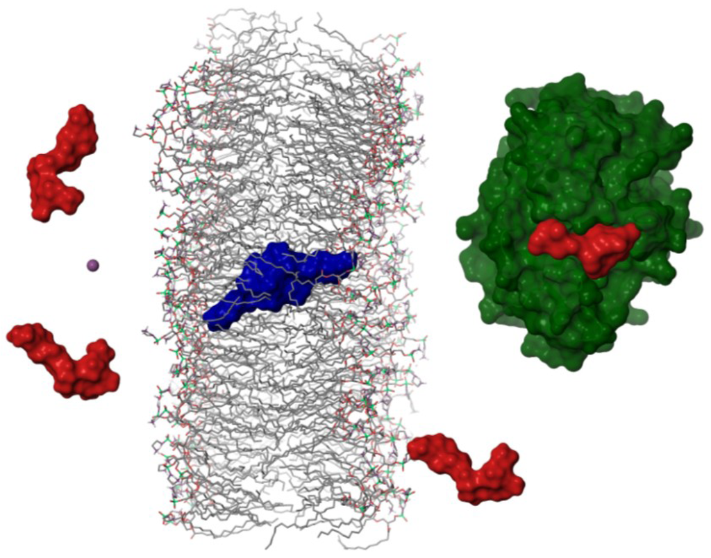 Marinedrugs 11 01866 g004 1024