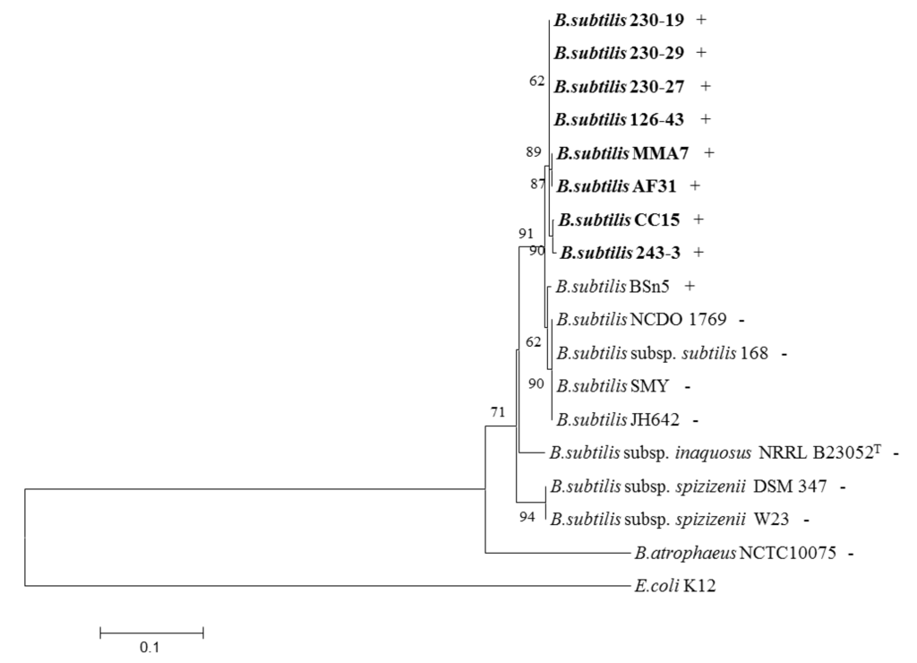 Marinedrugs 11 01878 g006 1024