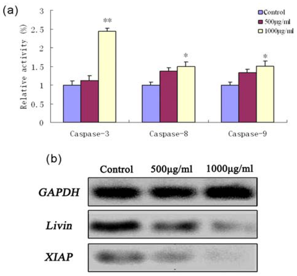 Marinedrugs 11 01961 g003 1024