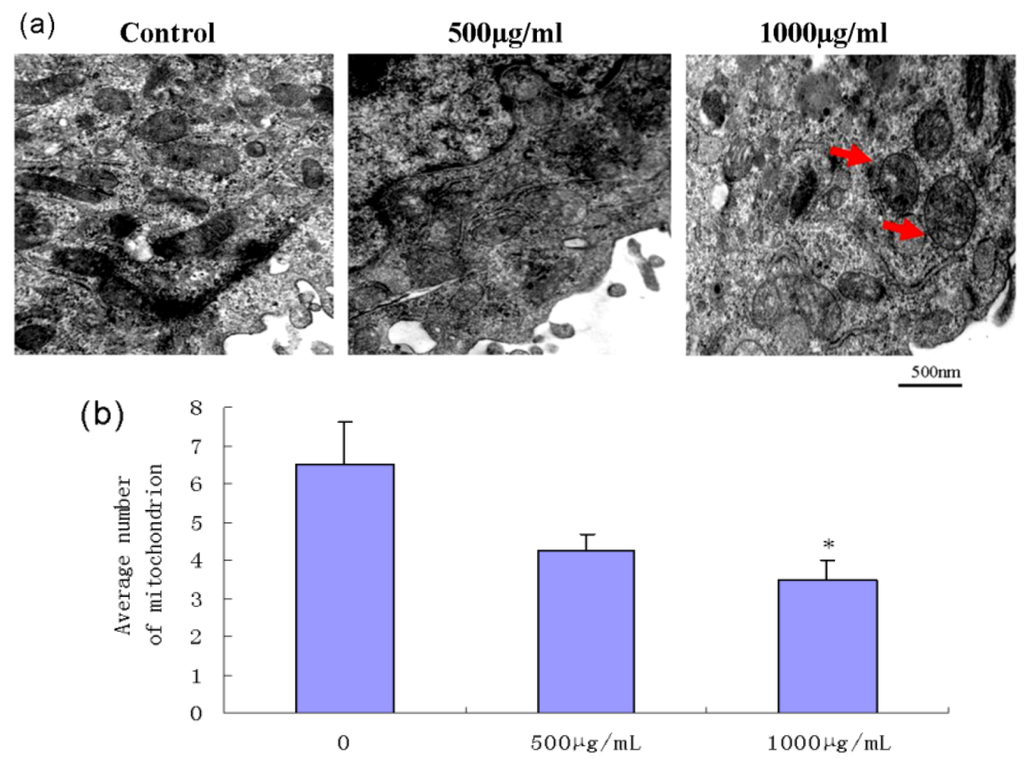 Marinedrugs 11 01961 g004 1024