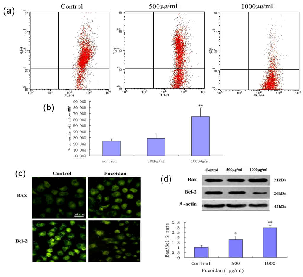 Marinedrugs 11 01961 g005 1024