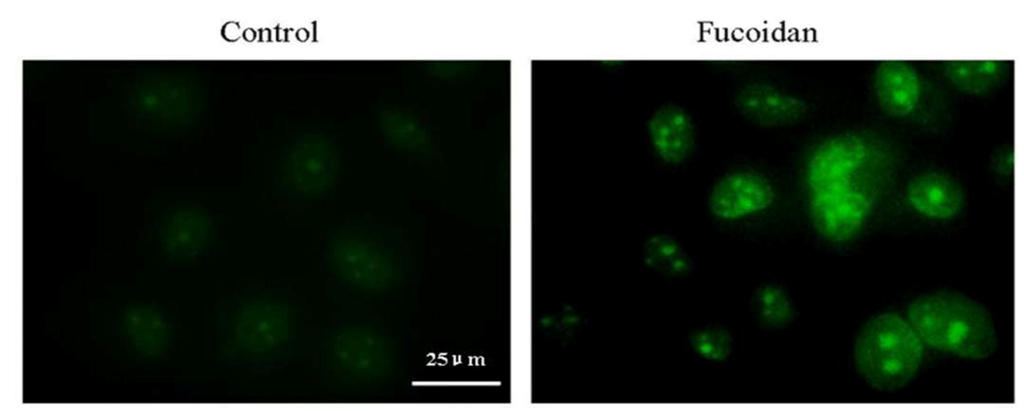 Marinedrugs 11 01961 g006 1024