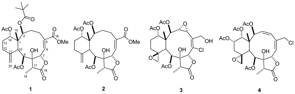 Marinedrugs 11 02042 g001 1024