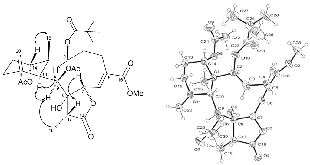 Marinedrugs 11 02042 g003 1024
