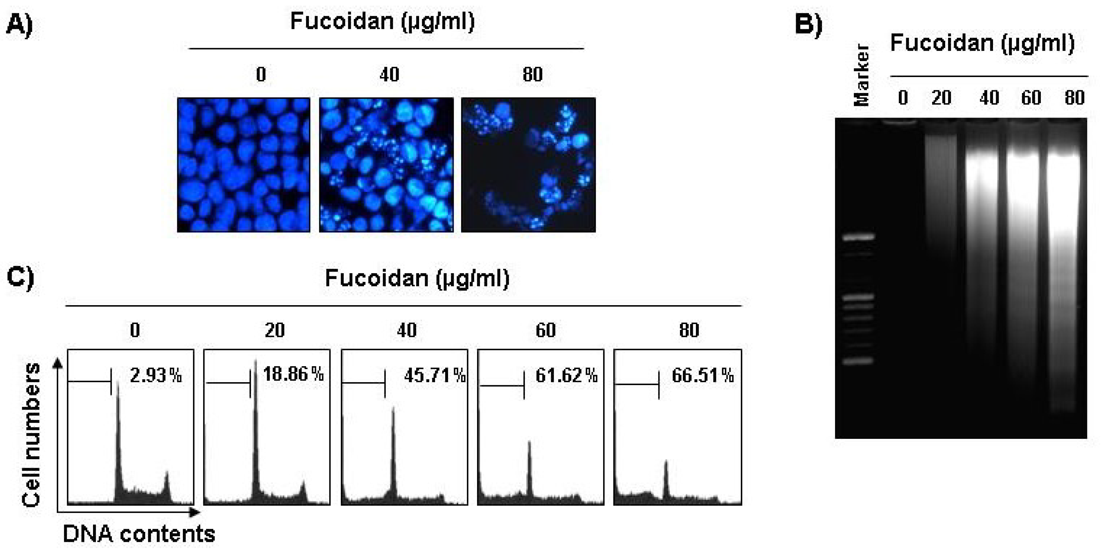 Marinedrugs 11 02347 g002