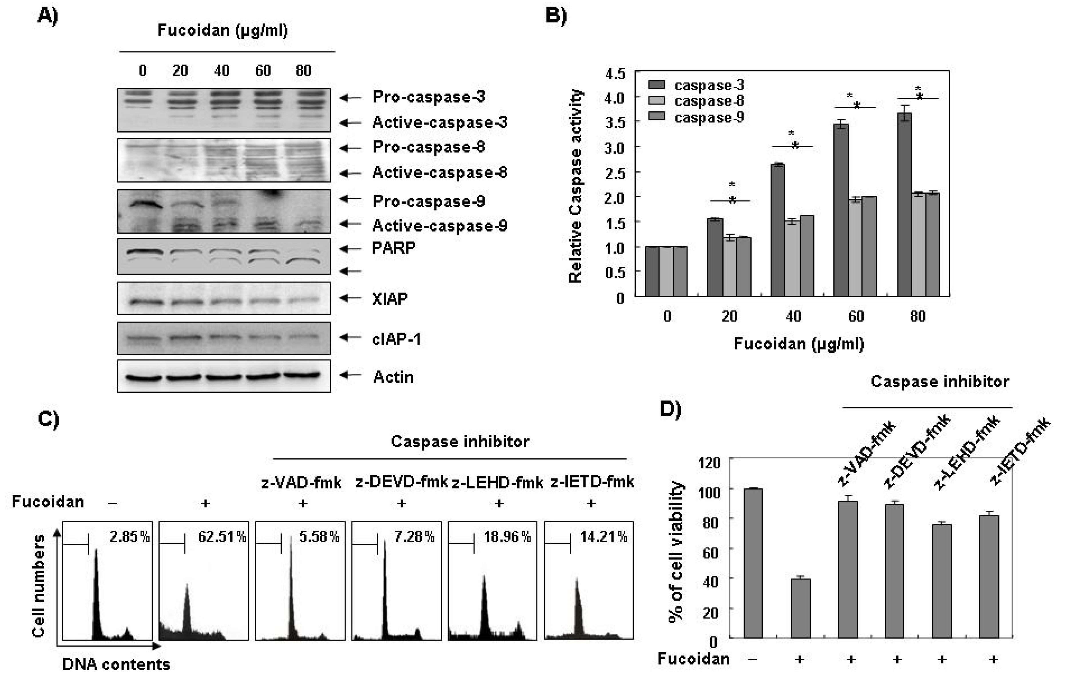 Marinedrugs 11 02347 g004