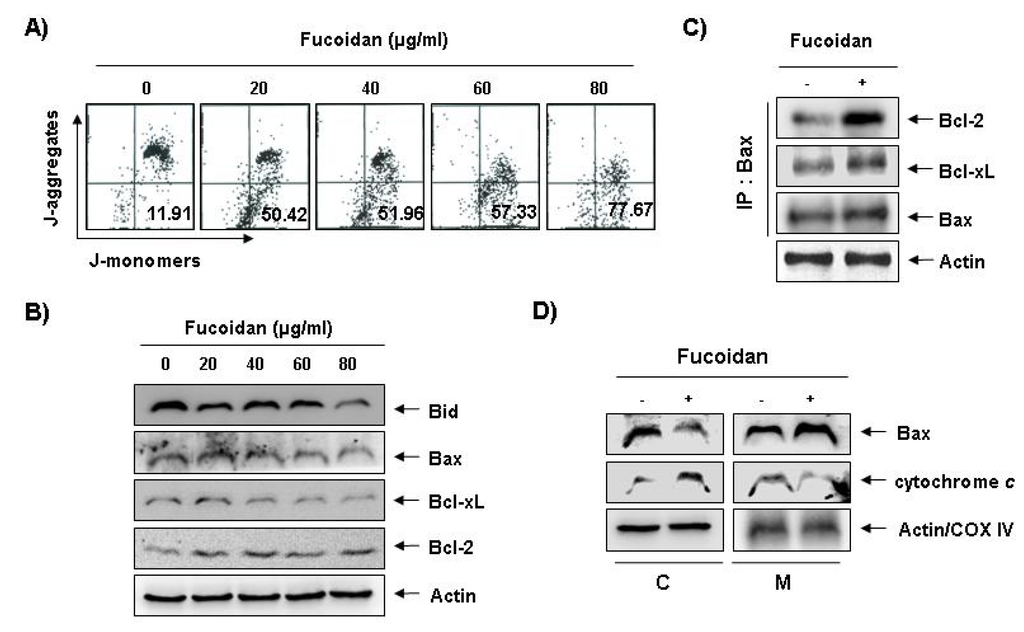 Marinedrugs 11 02347 g005 1024