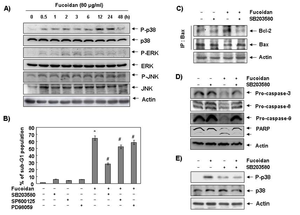 Marinedrugs 11 02347 g006 1024