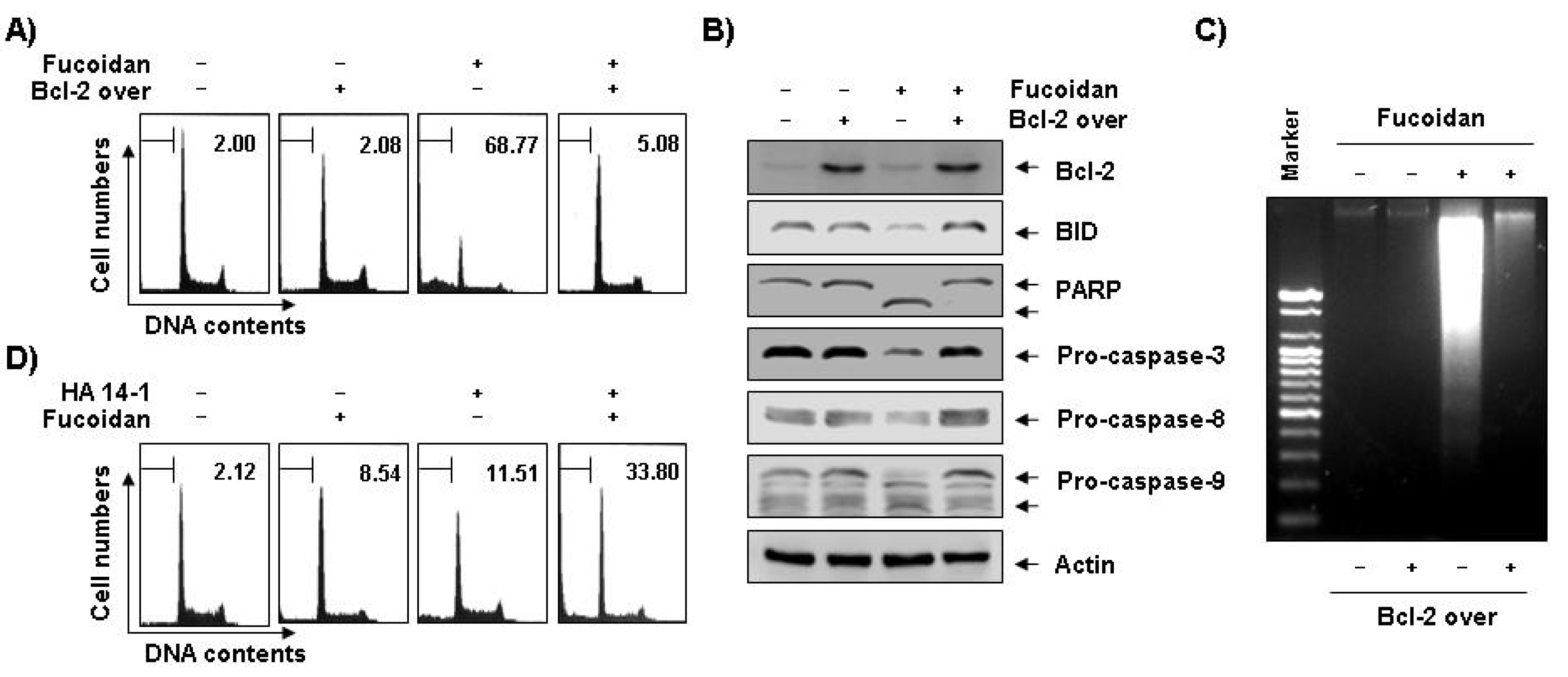 Marinedrugs 11 02347 g007