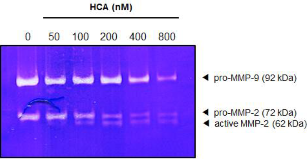 Marinedrugs 11 02472 g005 1024