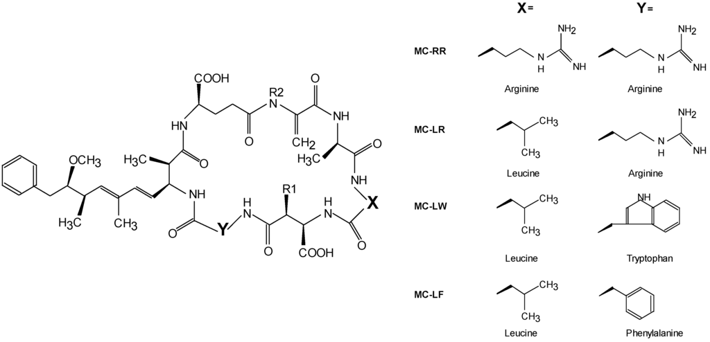 Marinedrugs 11 02643 g001 1024
