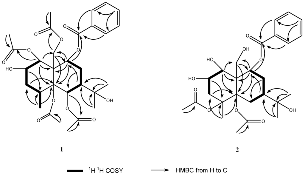 Marinedrugs 11 02713 g001 1024