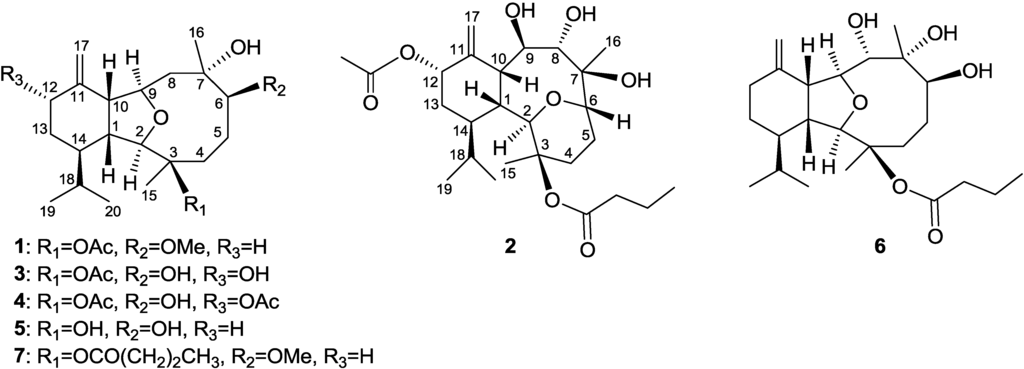 Marinedrugs 11 02741 g003 1024