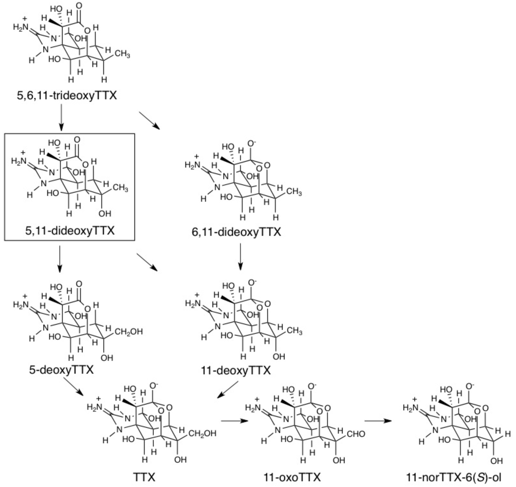 Marinedrugs 11 02799 g007 1024