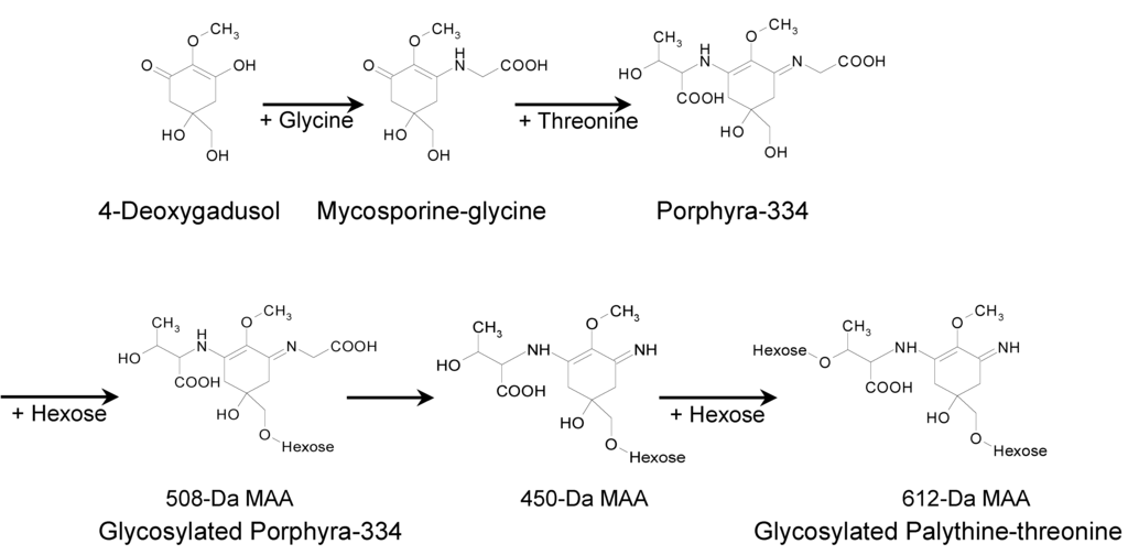 Marinedrugs 11 03124 g009 1024