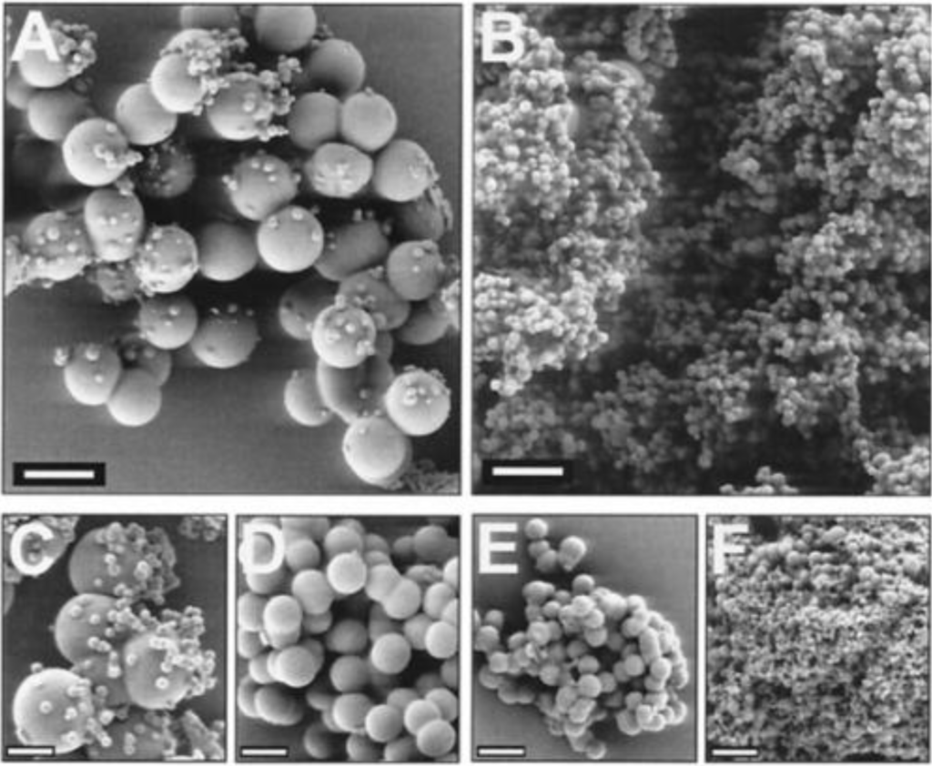 Marinedrugs 11 03155 g004 1024