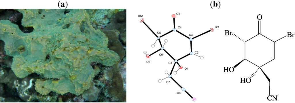 Marinedrugs 11 03168 g001 1024