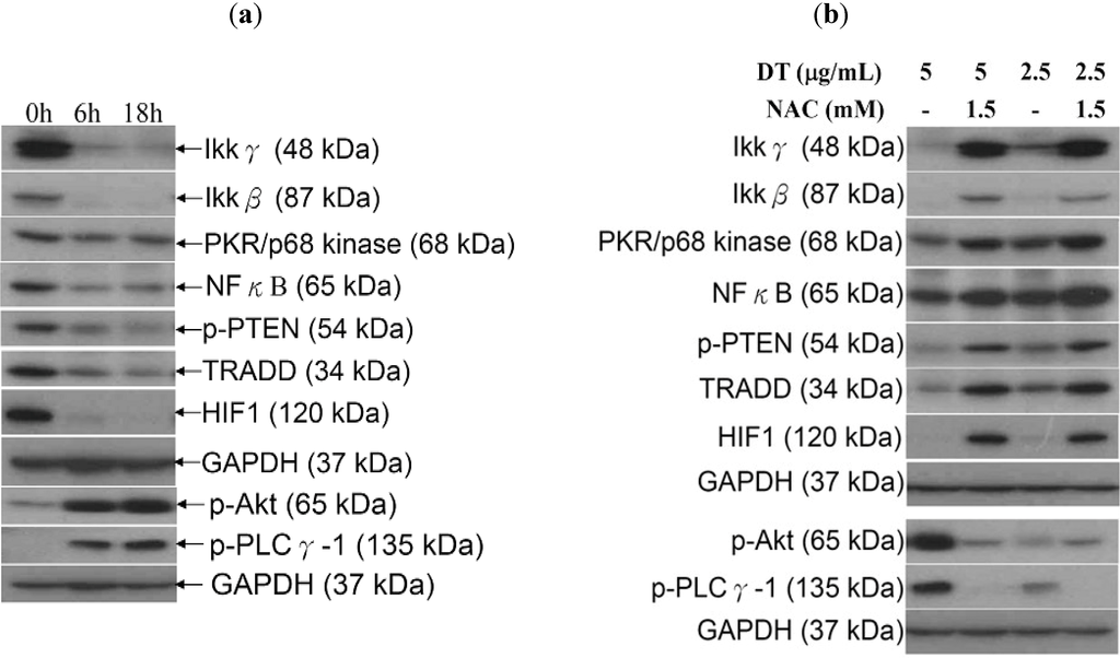 Marinedrugs 11 03168 g006 1024