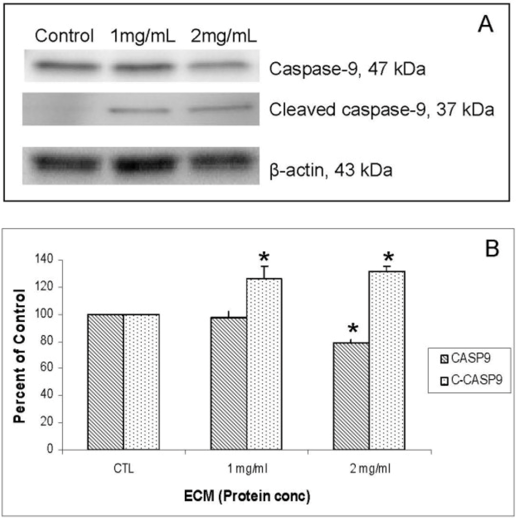 Marinedrugs 11 03224 g005 1024