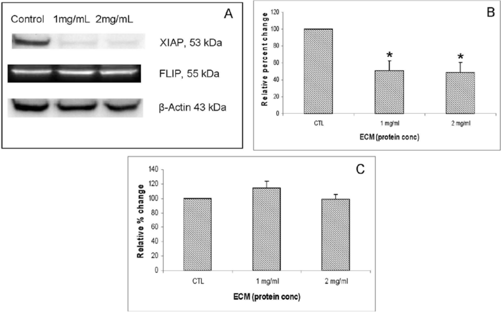 Marinedrugs 11 03224 g008 1024