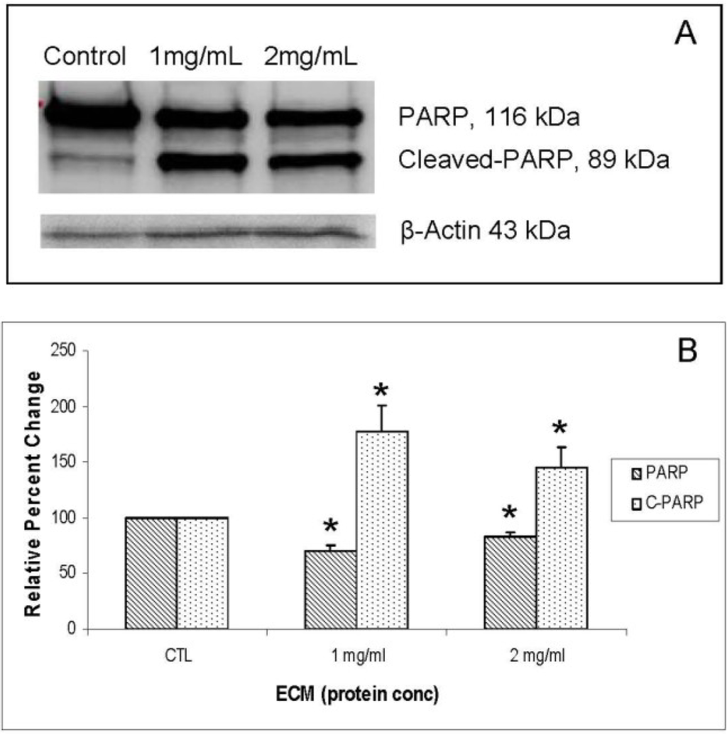 Marinedrugs 11 03224 g009 1024