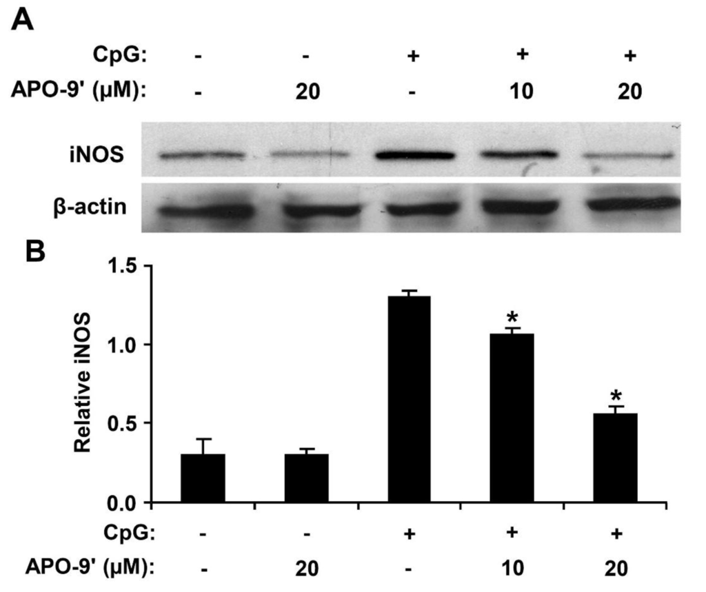 Marinedrugs 11 03272 g008 1024