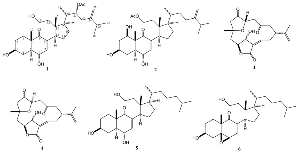 Marinedrugs 11 03288 g001 1024