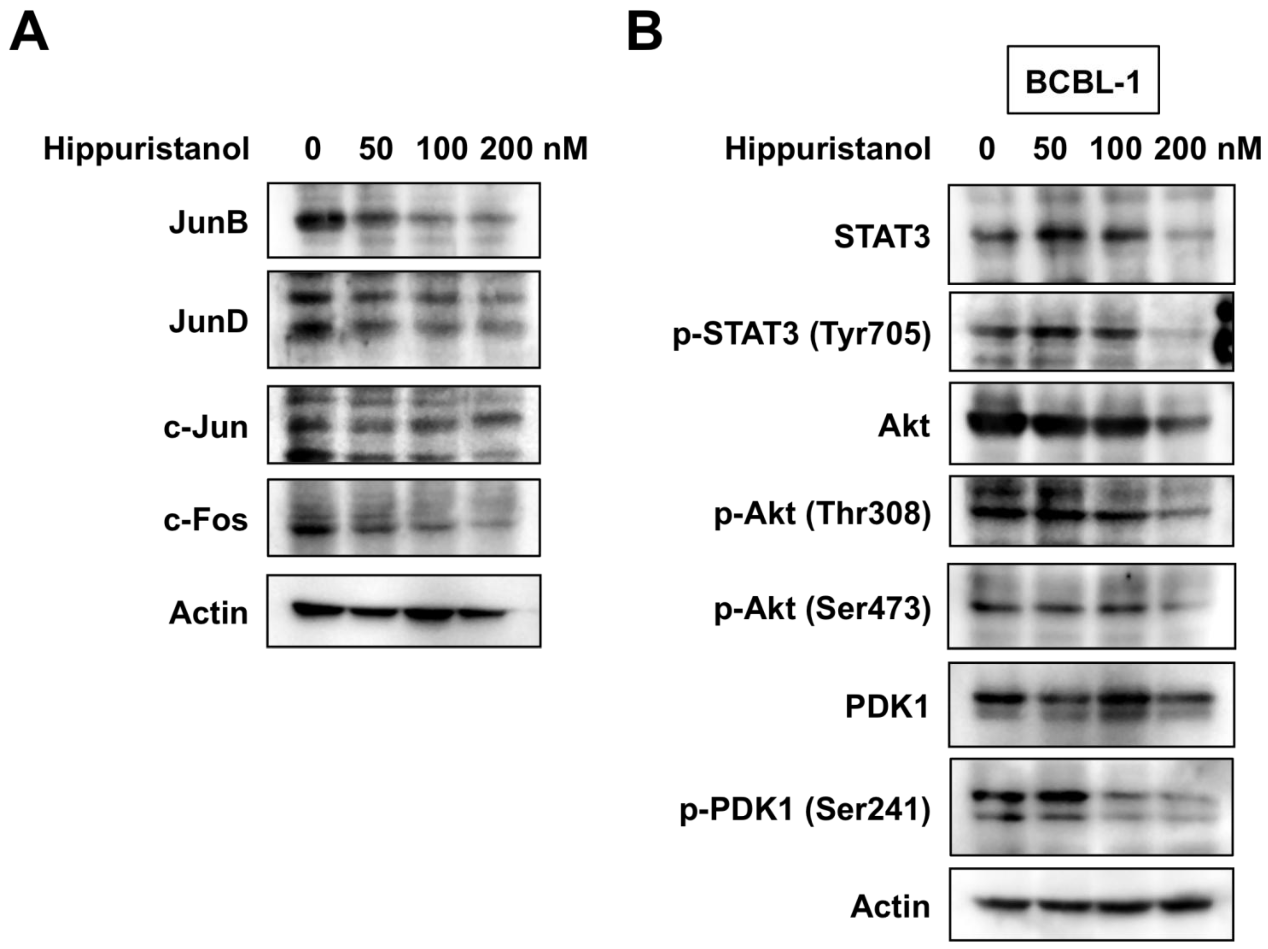 Marinedrugs 11 03410 g004