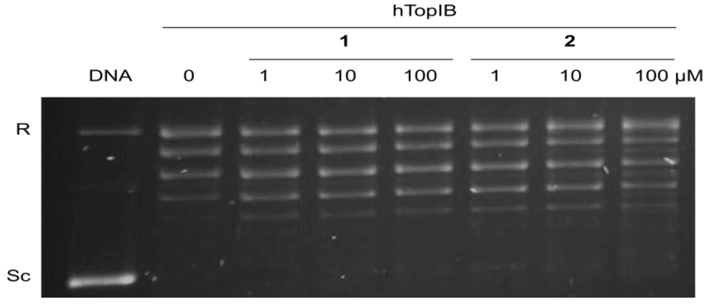 Marinedrugs 11 03661 g003 1024