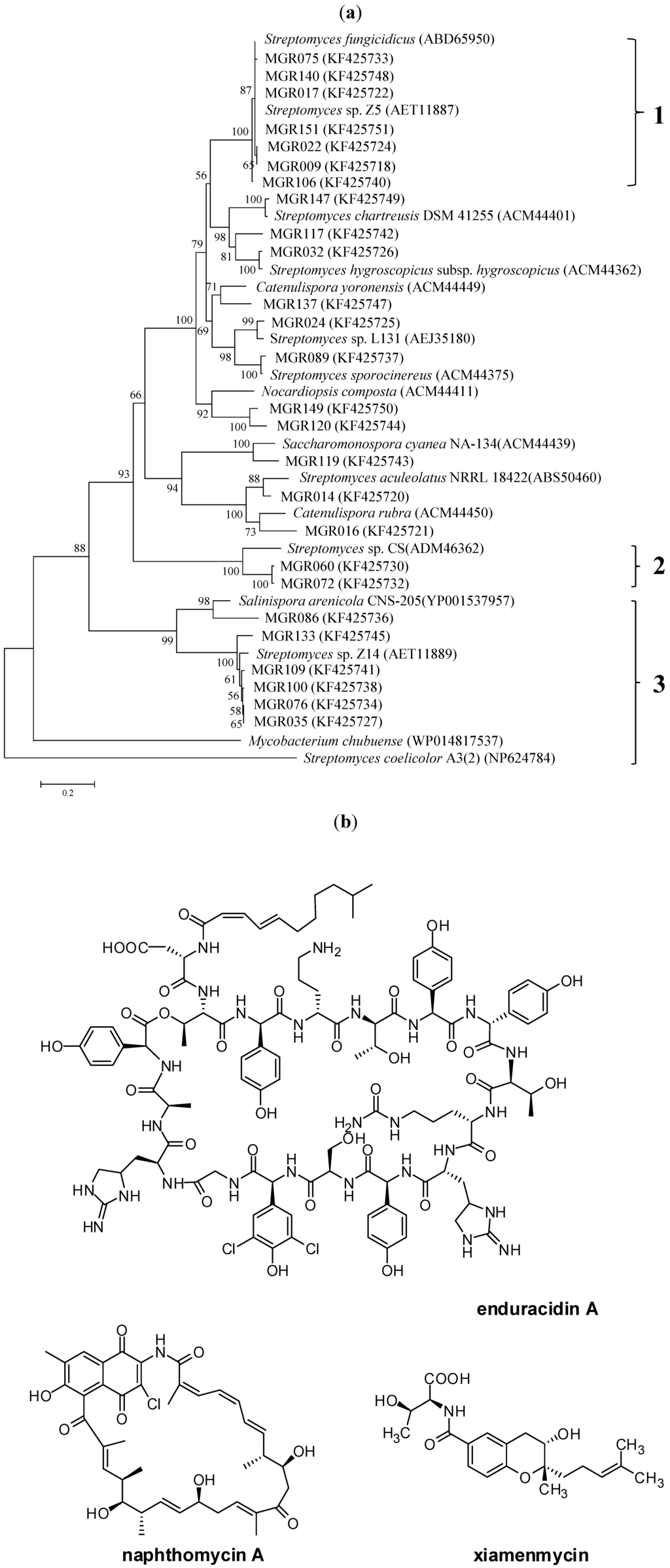 Marinedrugs 11 03875 g002 1024
