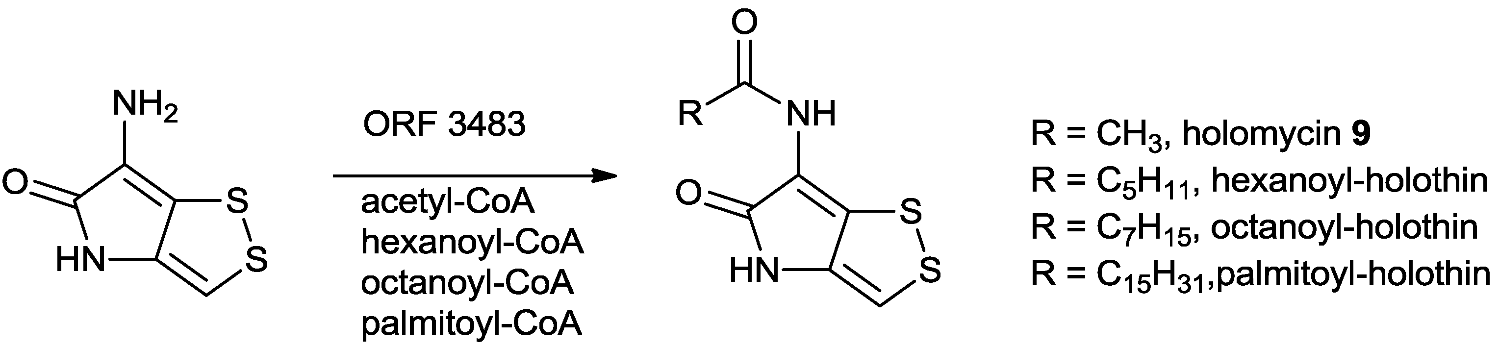 Marinedrugs 11 03970 g011