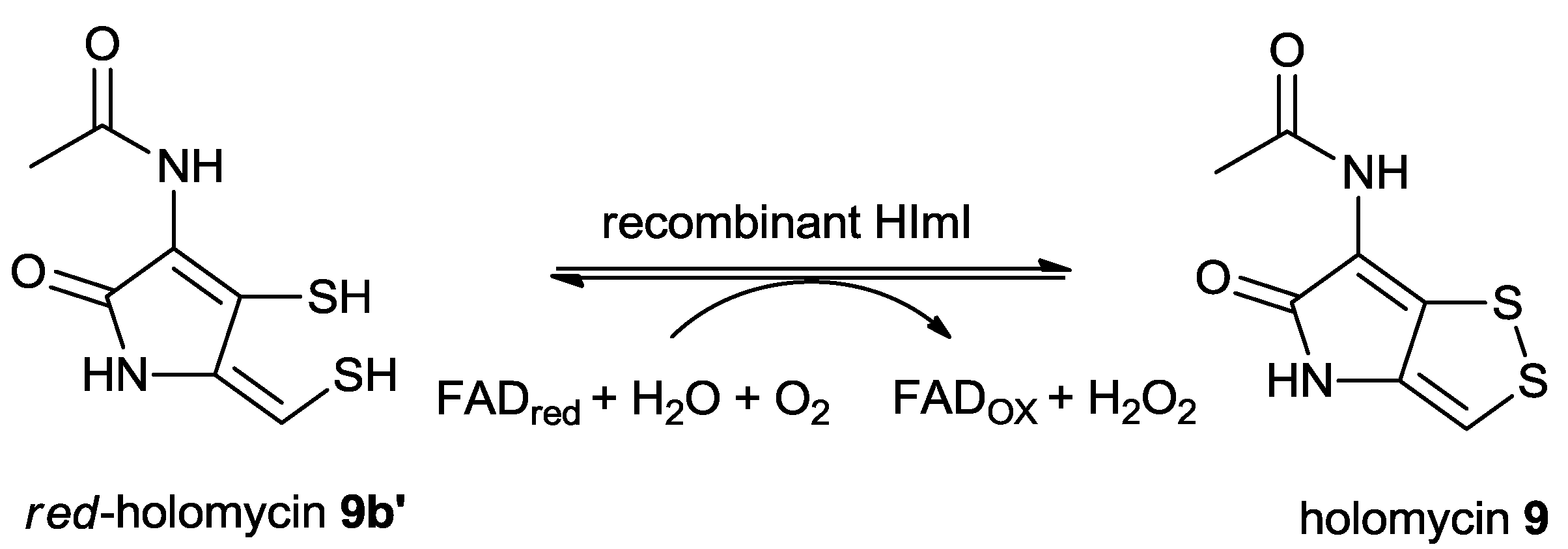 Marinedrugs 11 03970 g012