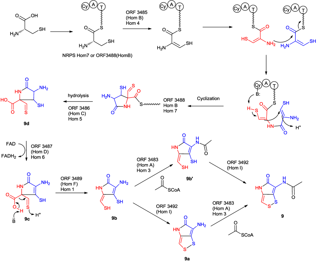 Marinedrugs 11 03970 g013 1024