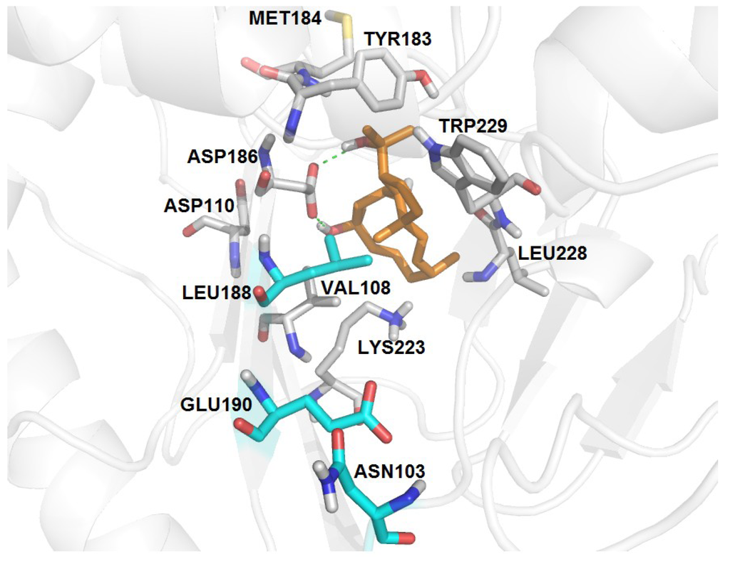 Marinedrugs 11 04127 g005 1024