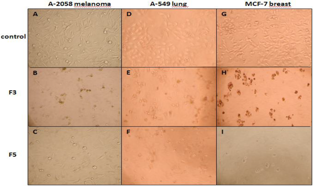 Marinedrugs 11 04390 g002 1024