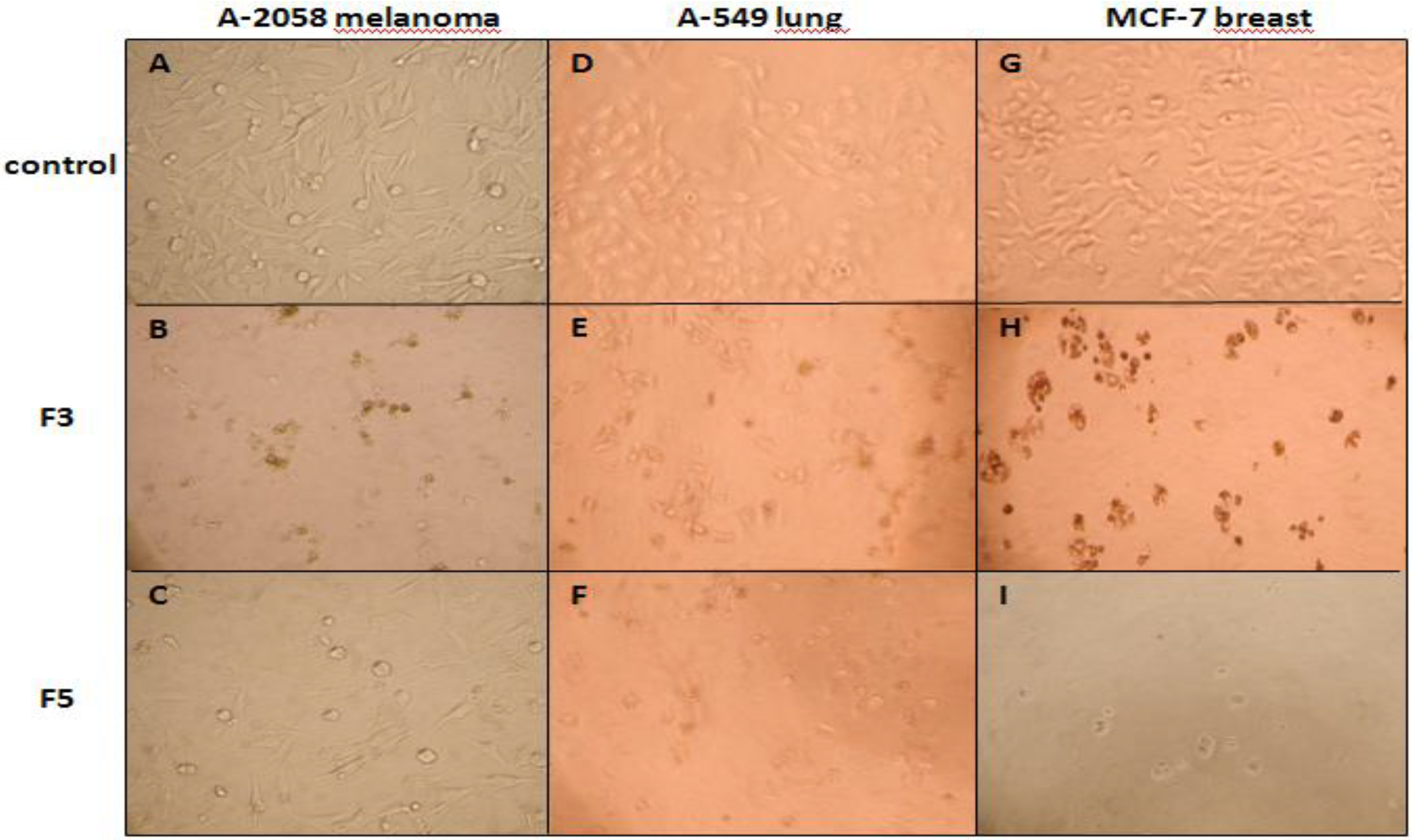 Marinedrugs 11 04390 g002