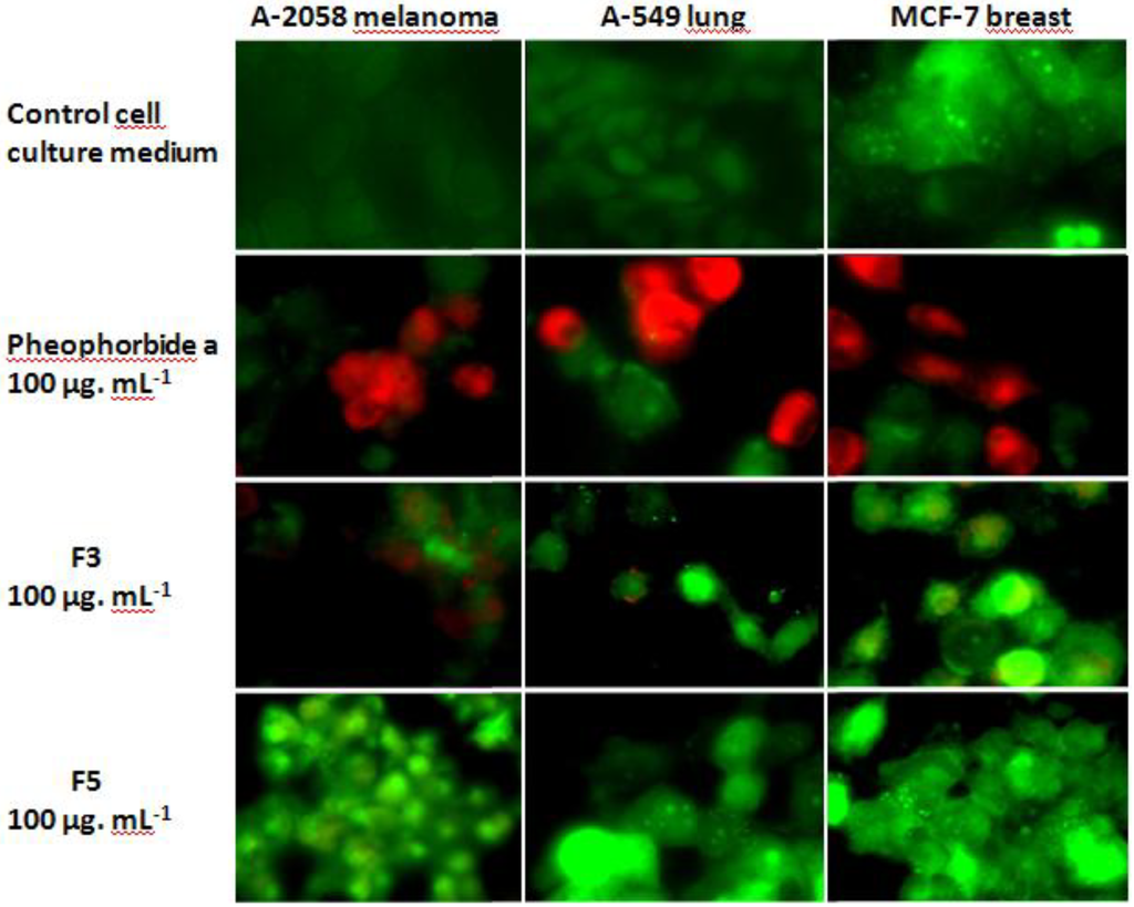 Marinedrugs 11 04390 g003 1024