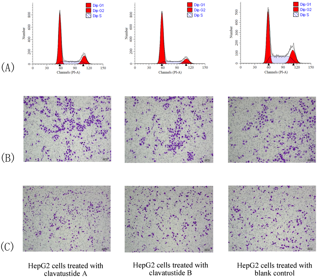 Marinedrugs 11 04761 g005 1024