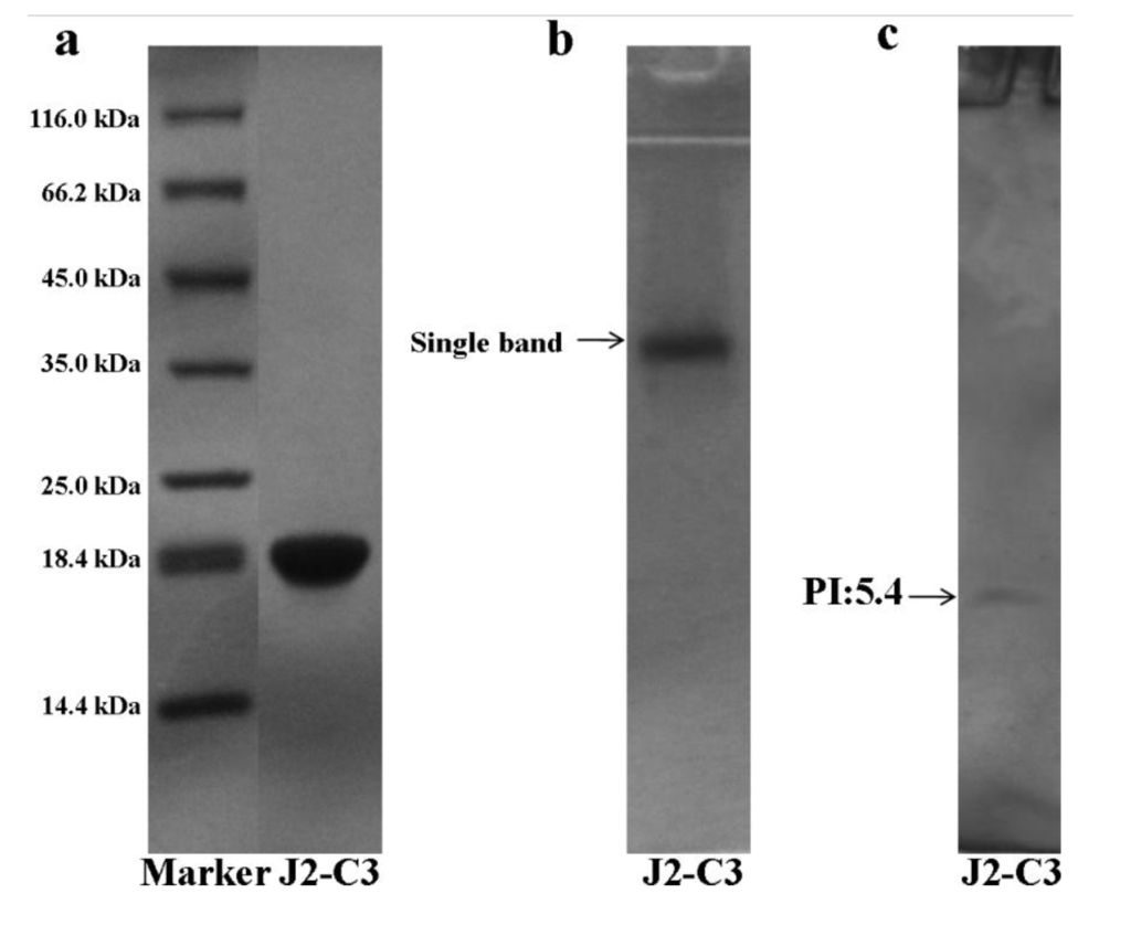 Marinedrugs 11 04773 g003 1024