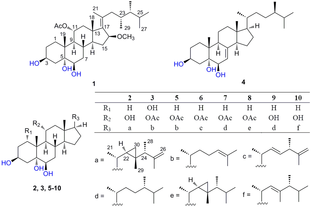 Marinedrugs 11 04788 g001 1024