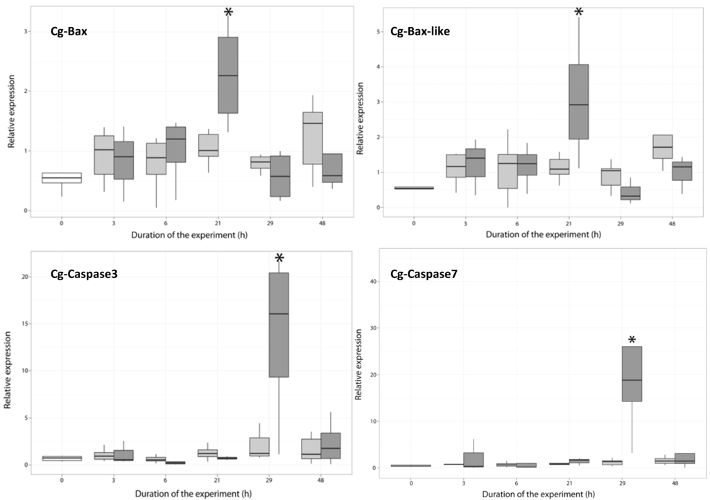 Marinedrugs 11 04799 g003 1024