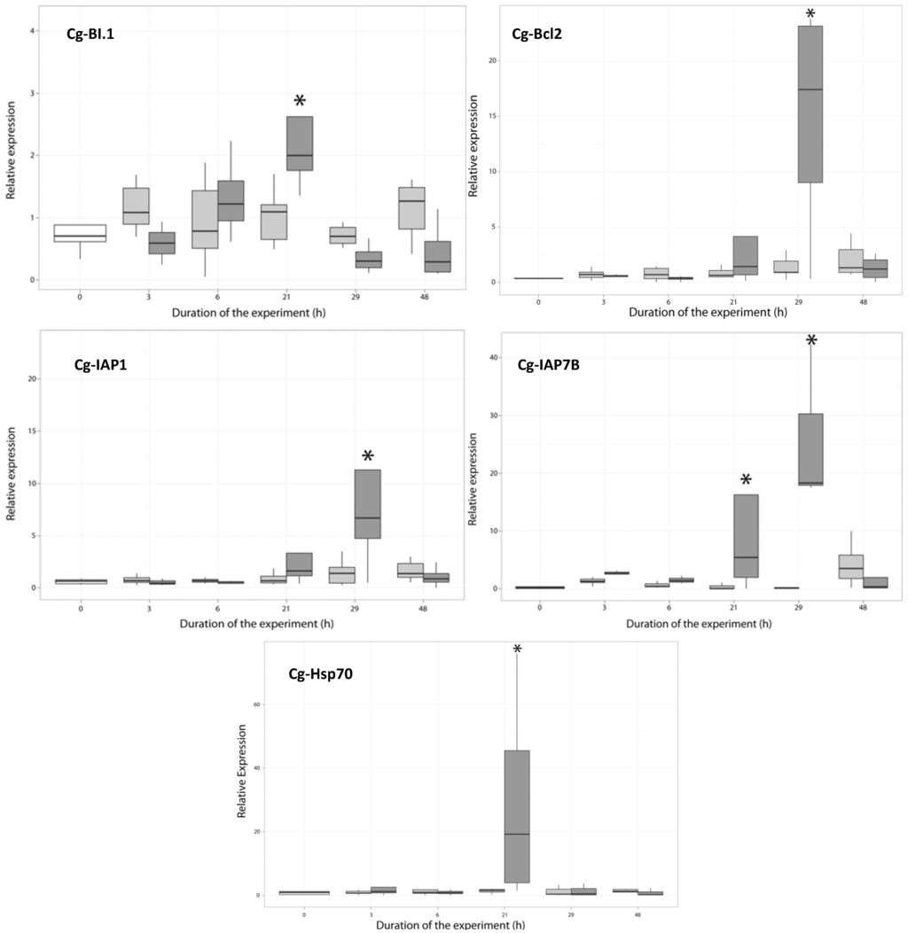 Marinedrugs 11 04799 g004 1024