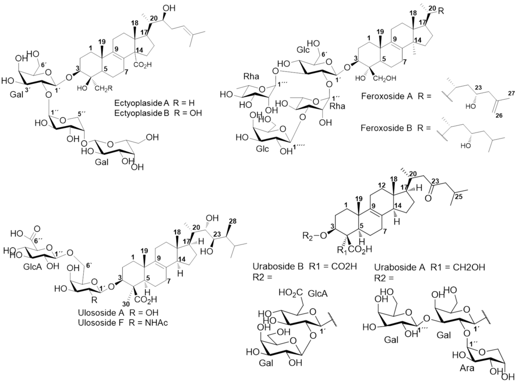 Marinedrugs 11 04815 g001 1024