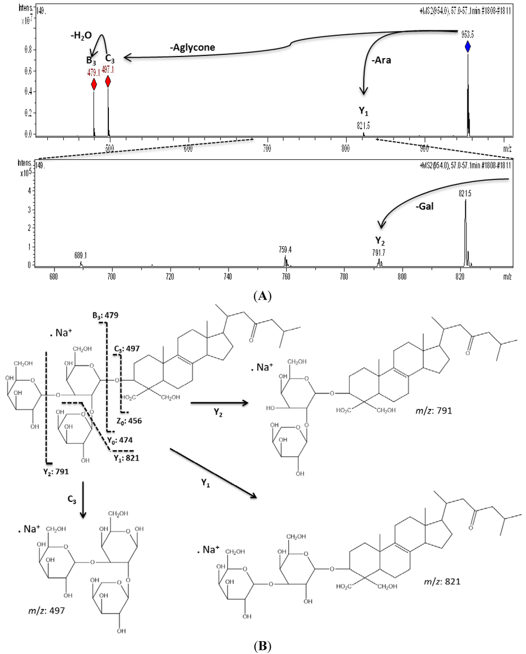 Marinedrugs 11 04815 g003 1024