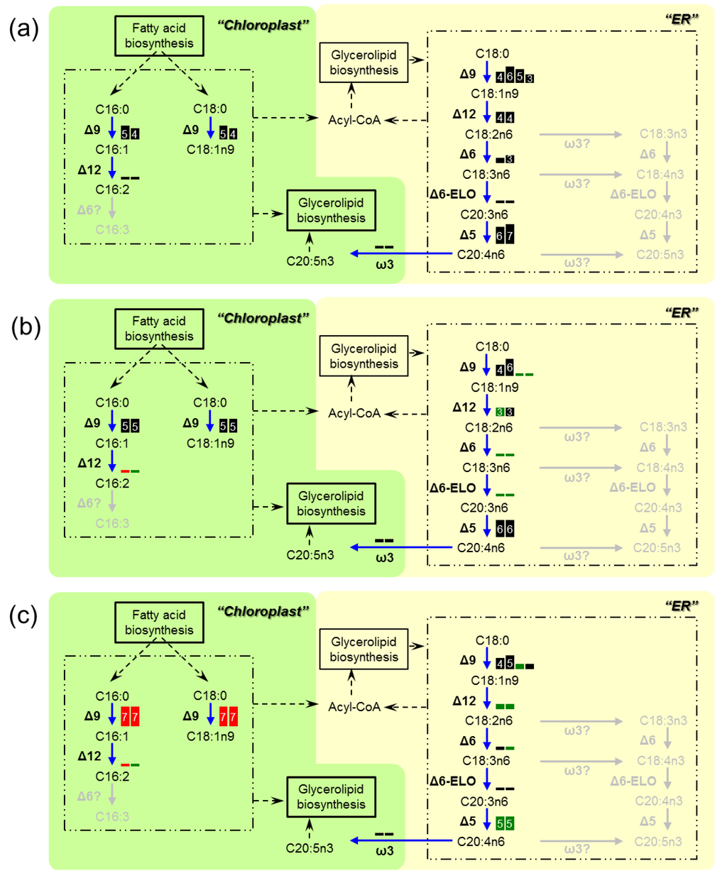 Marinedrugs 11 05008 g003 1024