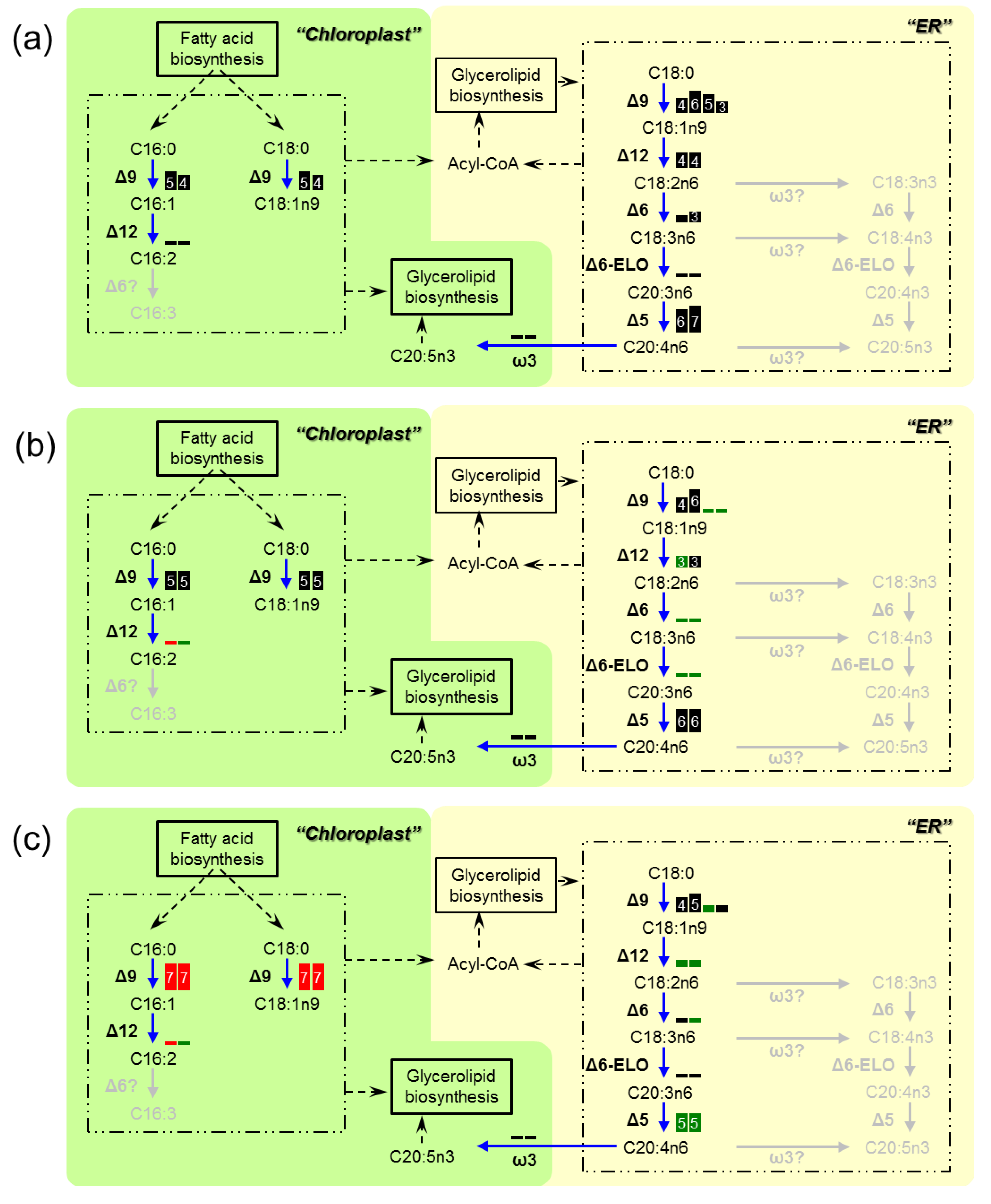 Marinedrugs 11 05008 g003
