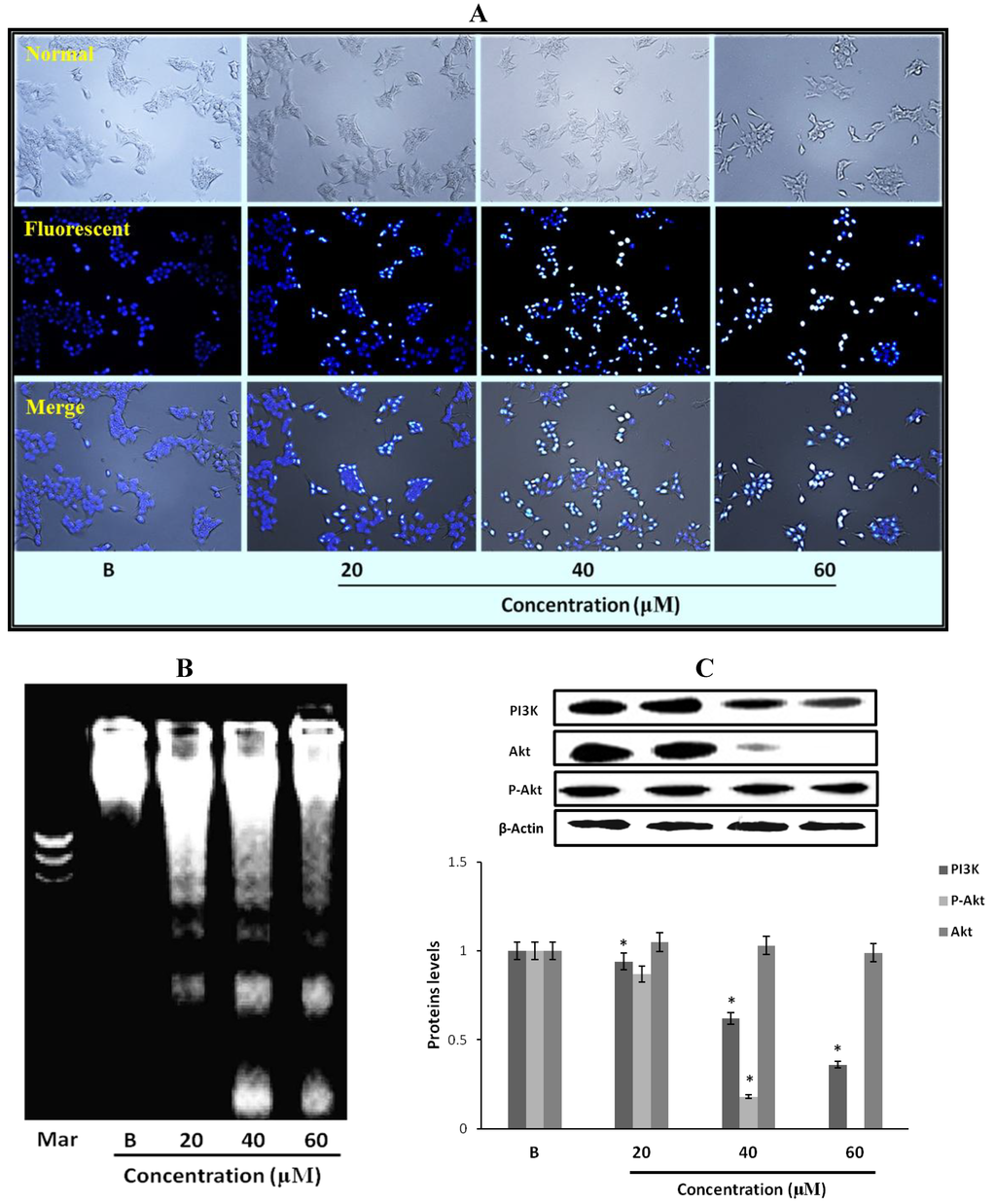 Marinedrugs 11 05063 g005 1024