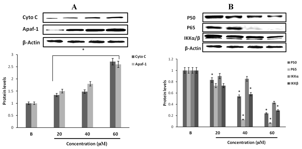 Marinedrugs 11 05063 g007 1024